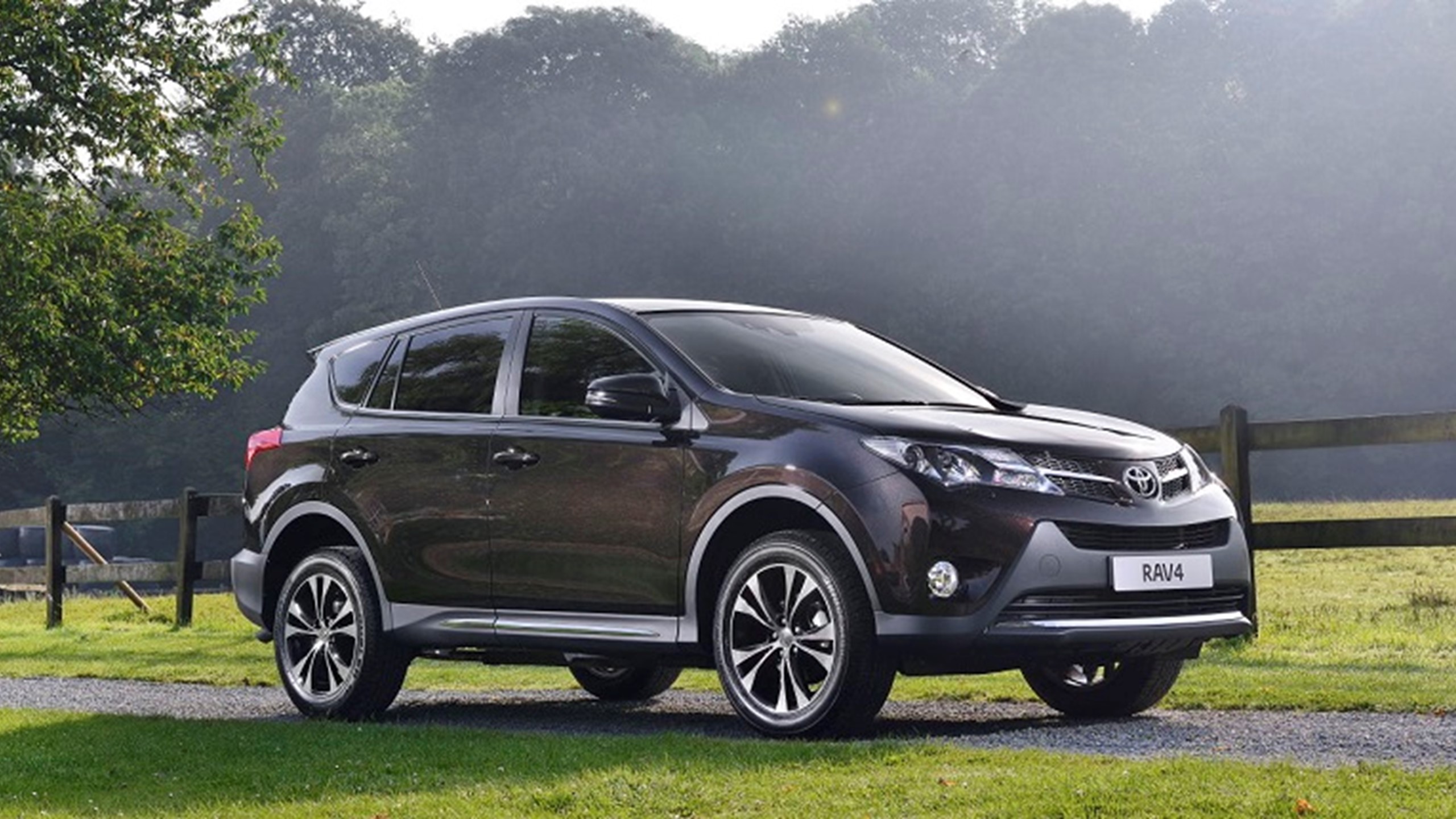 Toyota Rav4 Side Brun Natur 848X430